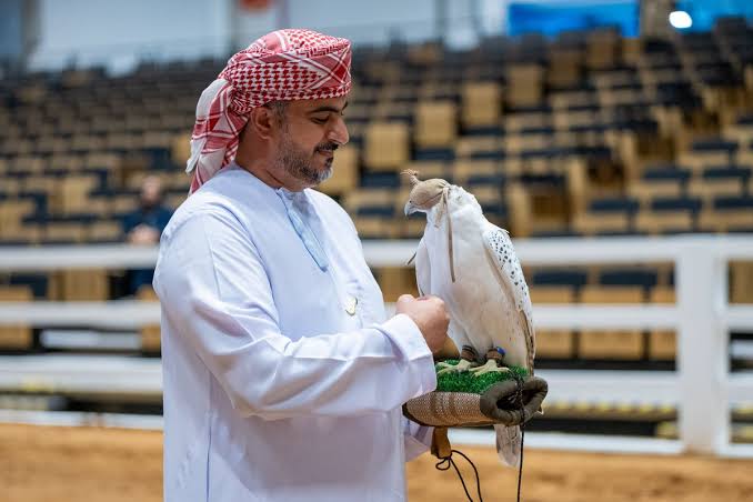 ADIHEX 2026 Brings Emirati Heritage, Falconry and Modern Experiences Together in Abu Dhabi ADIHEX 2026 Brings Emirati Heritage, Falconry and Modern Experiences Together in Abu Dhabi