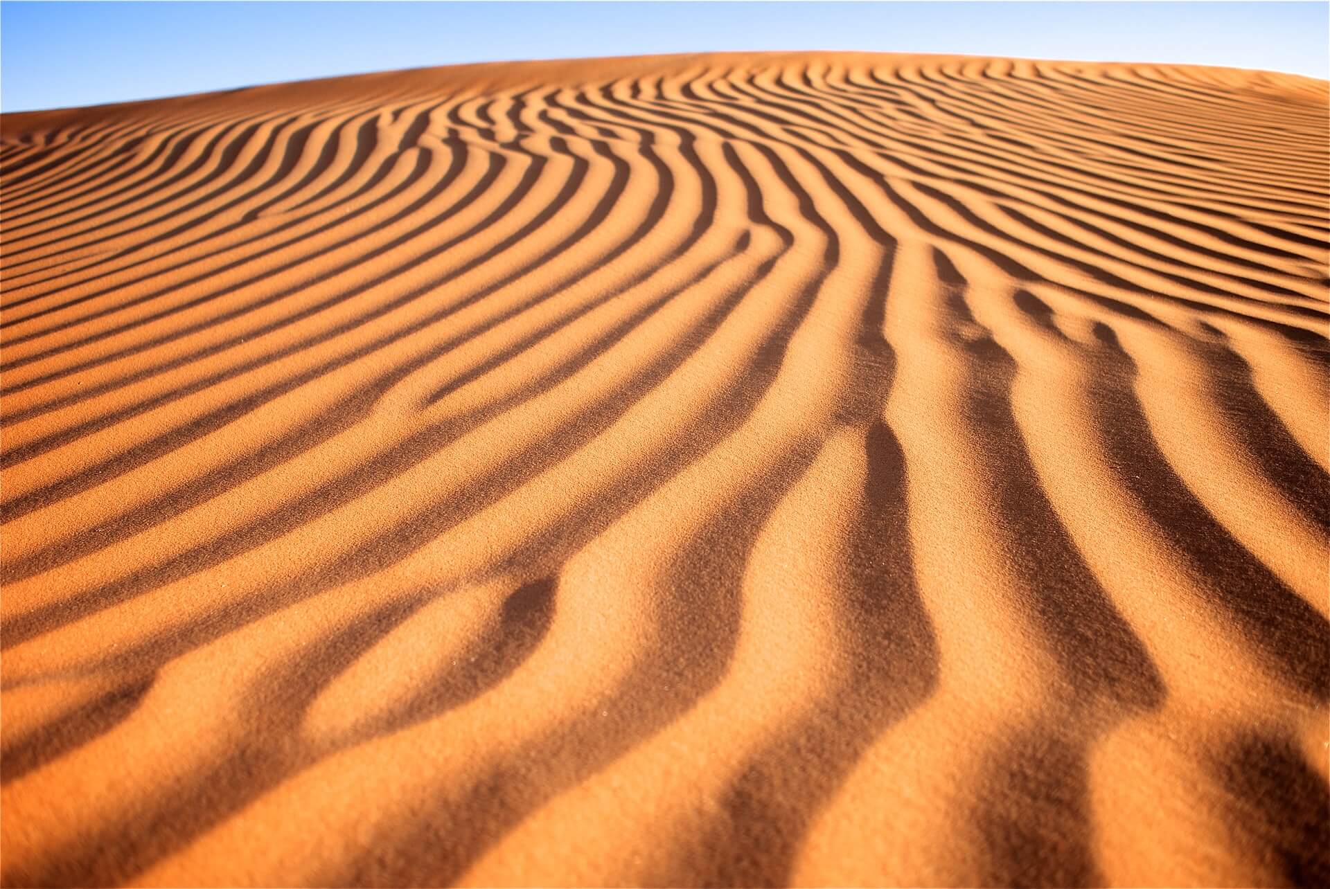 Missing Winter 4x4 Drives? Top UAE Deserts Loved by Off-Road Drivers Missing Winter 4x4 Drives? Top UAE Deserts Loved by Off-Road Drivers