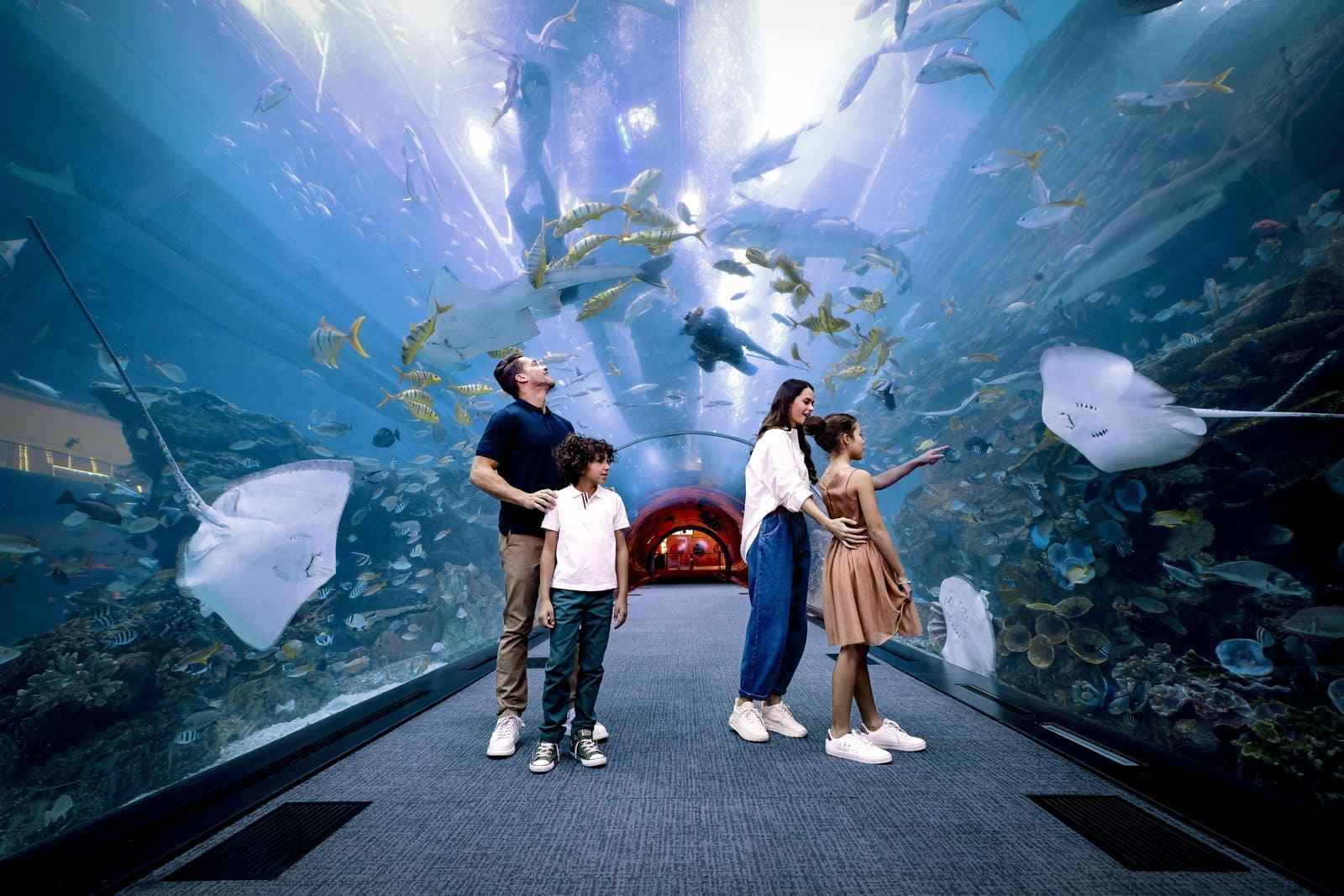 Best Indoor Entertainment in the UAE This Summer: Bowling, Swimming, Ice Skating and Theme Parks