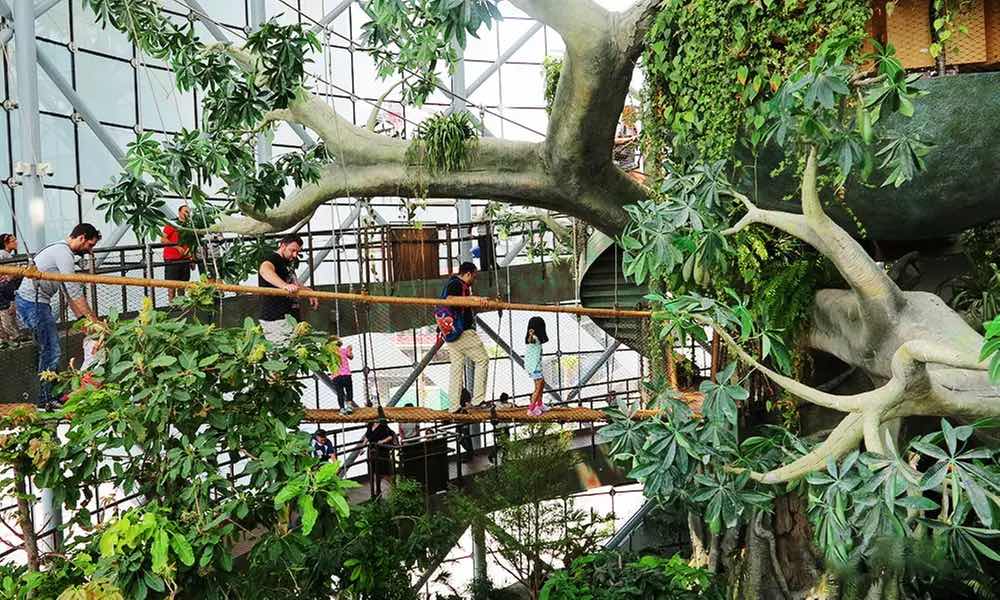 Best Indoor Entertainment in the UAE This Summer: Bowling, Swimming, Ice Skating and Theme Parks