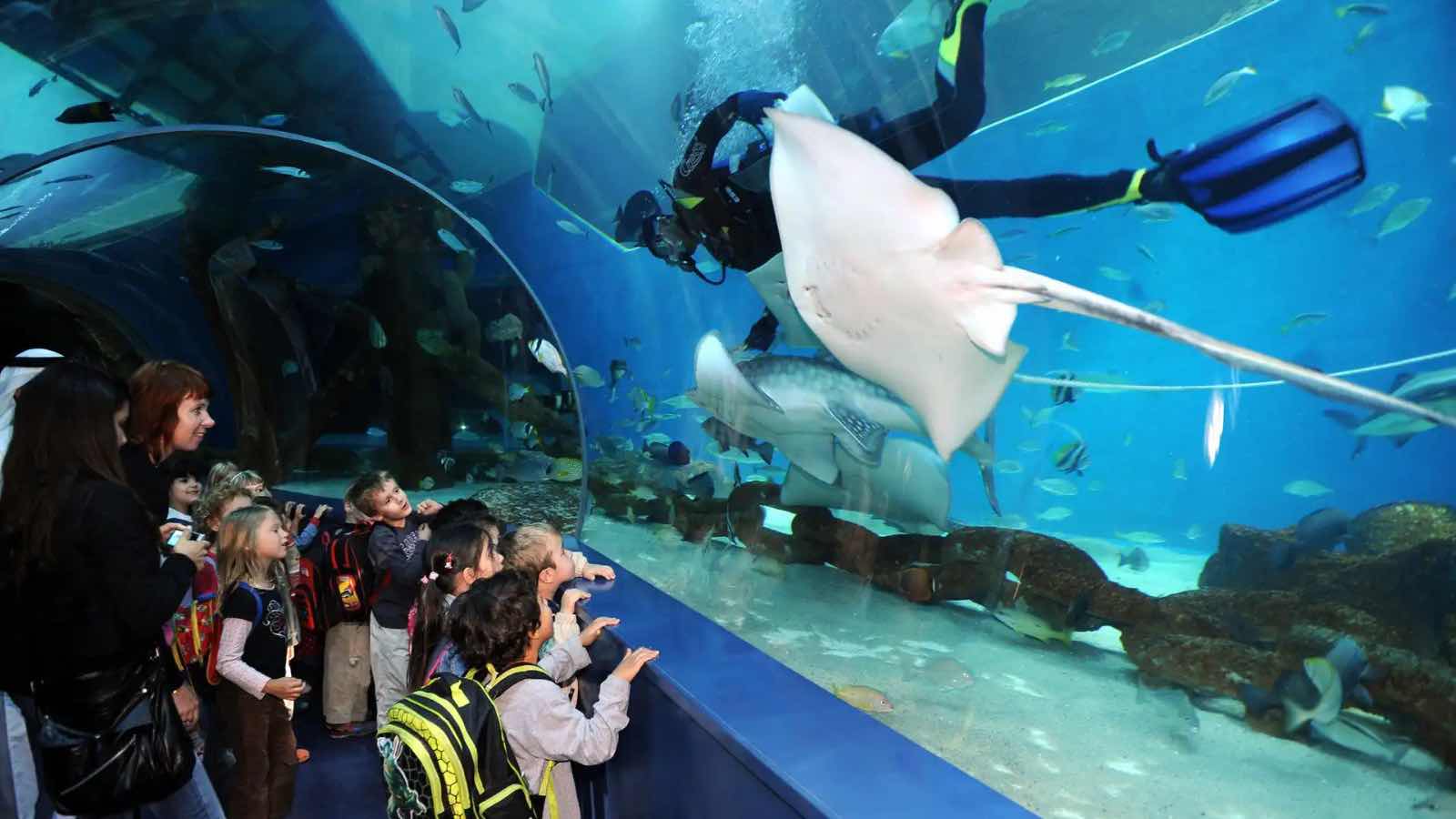 Best Indoor Entertainment in the UAE This Summer: Bowling, Swimming, Ice Skating and Theme Parks