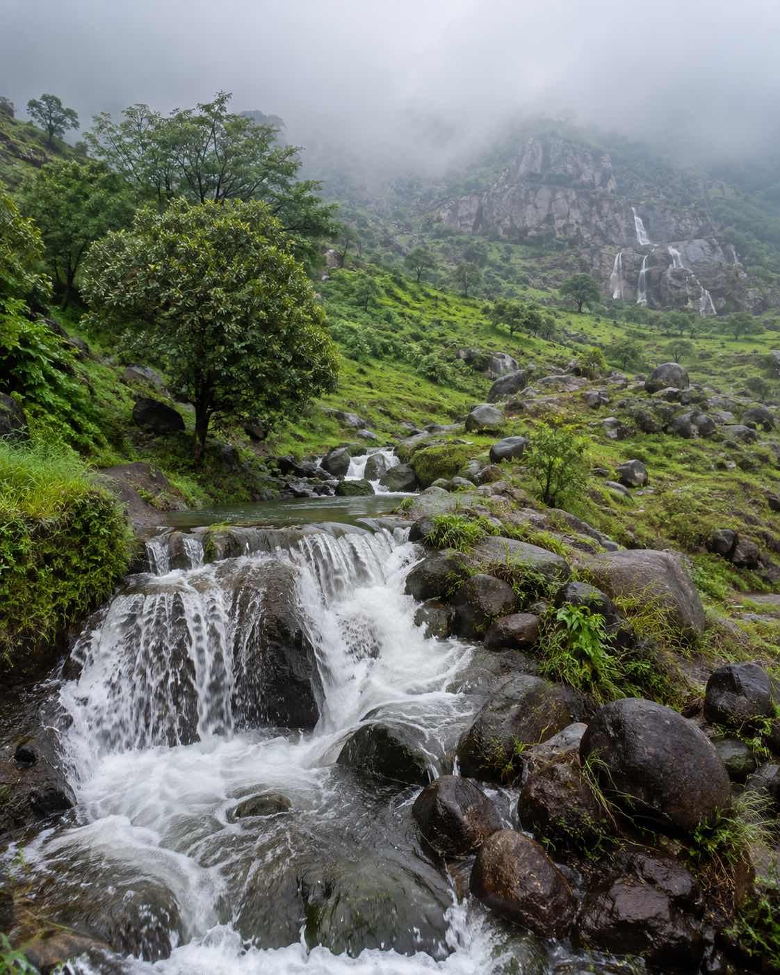 Oman Announces Free 14-Day Tourist Visa: Who Is Eligible?